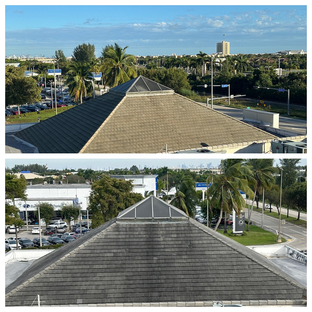 Big Green Men: Miami’s Premier Commercial Roof Cleaning Experts